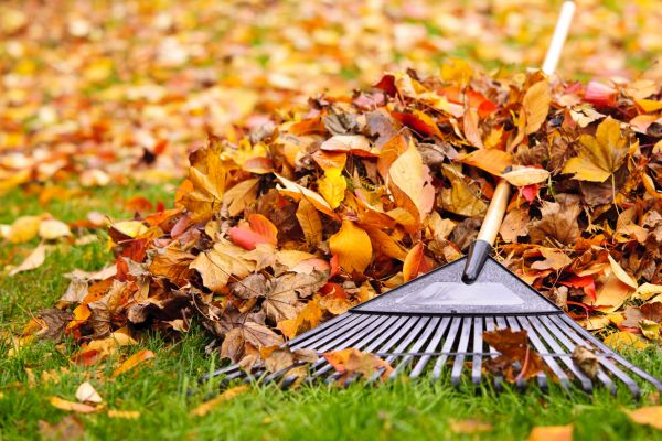 Cost of Fall Lawn Cleanup Service in Longview
