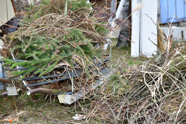 Cost of Yard Debris Removal in Longview