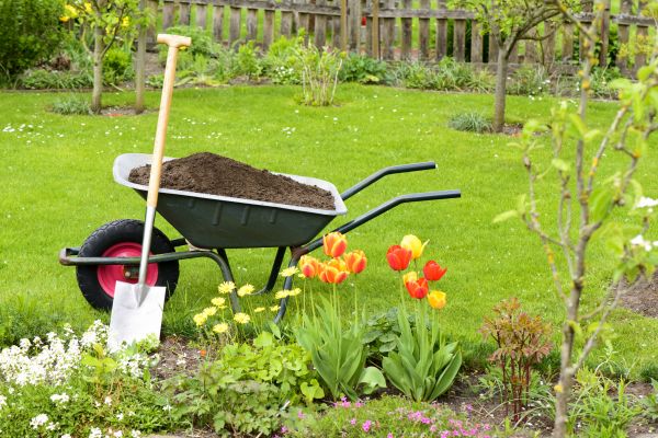 Cost of Spring Yard Cleanup in Longview