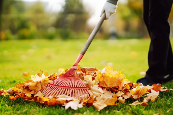 Cost of Ditch Leaf Removal in Longview