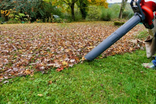 Cost of Leaves Vacuuming in Longview