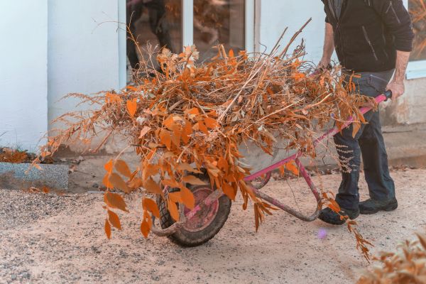 Cost of Lawn Debris Cleanup in Longview