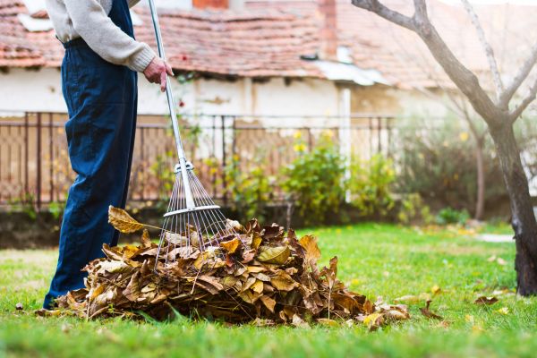 Cost of Fall Yard Cleanup Service in Longview