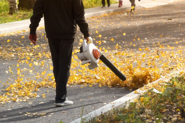 Cost of Commercial Leaf Removal in Longview