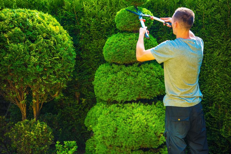 Tree and Shrub Care