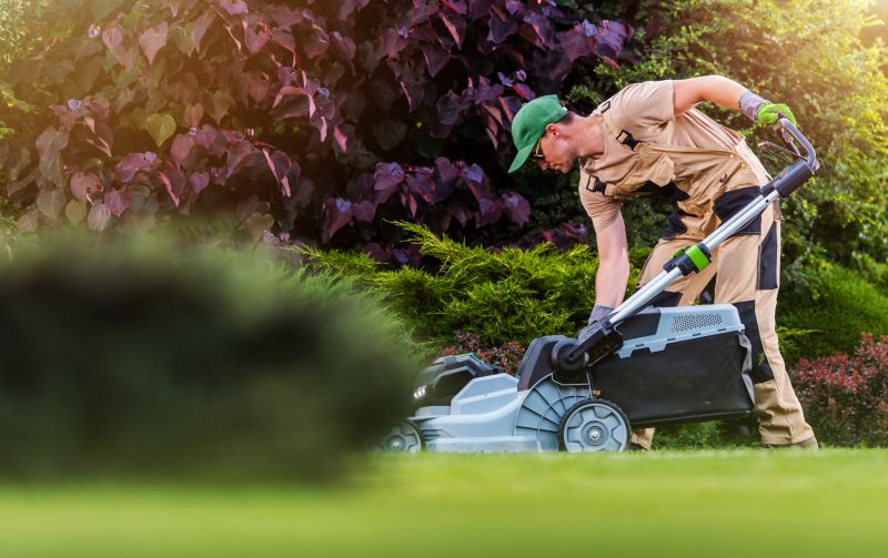Full-Service Lawn Maintenance